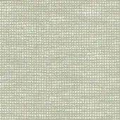 Spirea - cod 19107